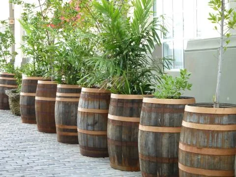Wine Barrels Stock Photos