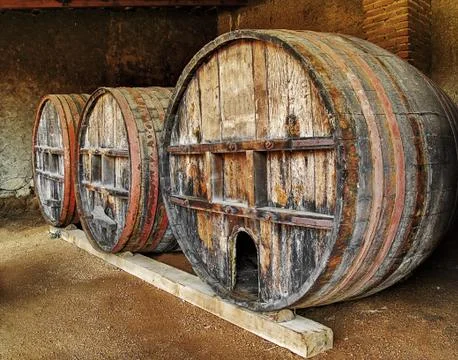 Wine barrels Stock Photos