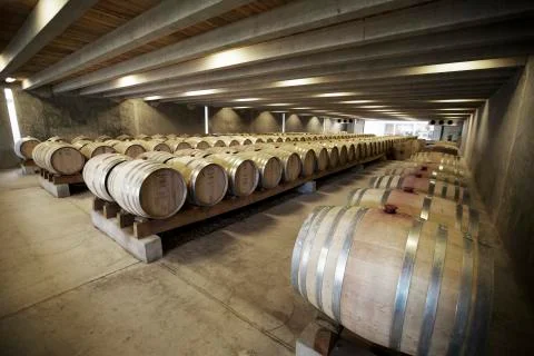 Wine Barrels Stock Photos