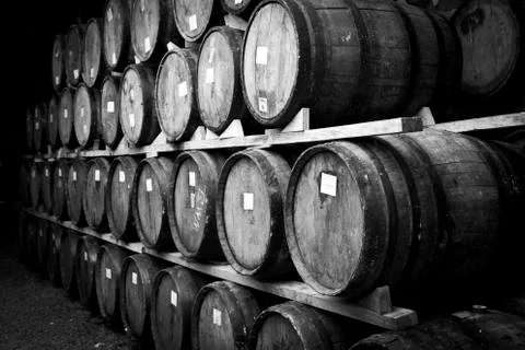 Wine barrels Stock Photos