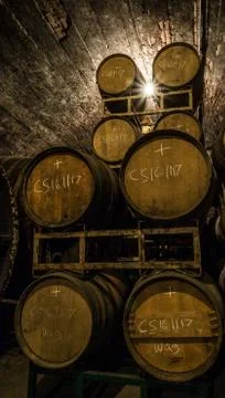 Wine Barrels Stock Photos