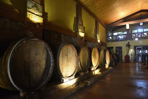 Wine barrels Stock Photos