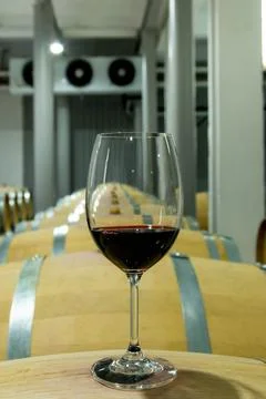 Wine barrels Stock Photos