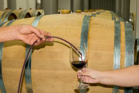 Wine barrels Stock Photos