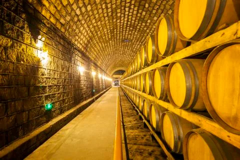 Wine barrels stacked in the cellar Stock Photos