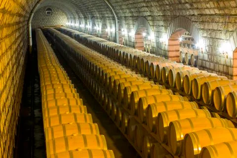 Wine barrels stacked in the cellar Stock Photos