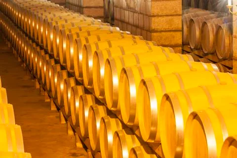 Wine barrels stacked in the cellar Stock Photos