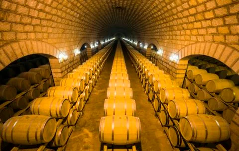 Wine barrels stacked in the cellar Stock Photos