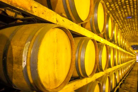 Wine barrels stacked in the cellar Stock Photos