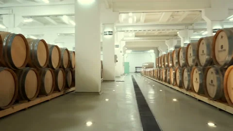 Wine barrels stacked in the old cellar of the winery Video stock 105719133