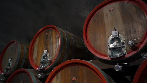 Wine barrels storage at vineyard Video stock 186978706