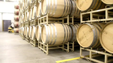 Wine Barrels in Warehouse Stock Footage 848258