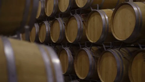 Wine barrels in wine cellar Stock Footage 77540920