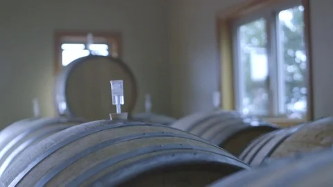Wine barrels in a wine cellar Stock Footage 83861572