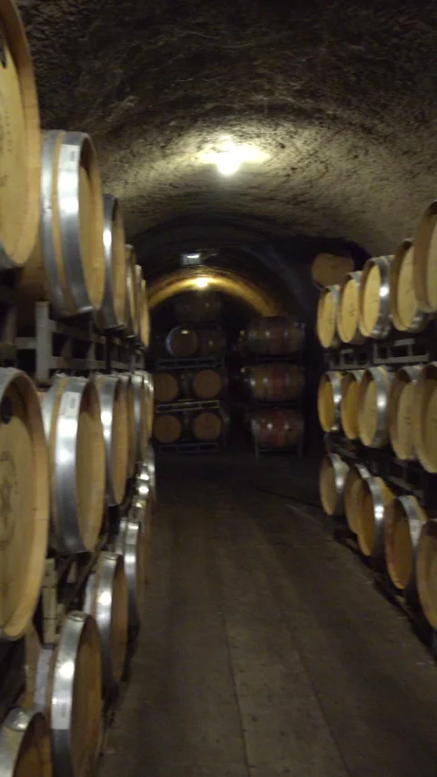 Wine barrels in winery cave Video stock 294403527
