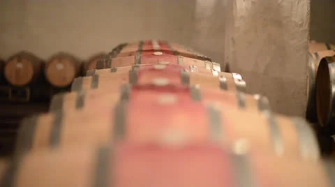 Wine Barrels at a winery Stock Footage 24180833