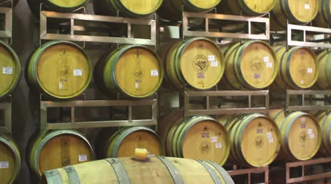 Wine barrels in winery Stock Footage 25289487