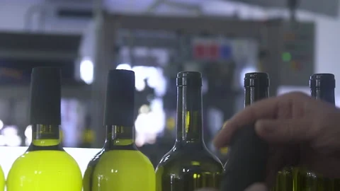 Wine Being Bottled In Green Bottles On An Assembly Line. 120 fps. Stock Footage 155457543