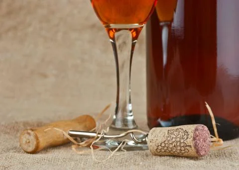 Wine bottle and corkscrew Stock Photos