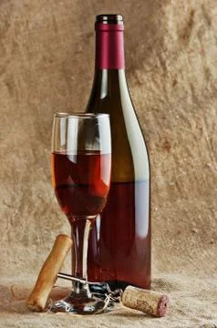 Wine bottle and corkscrew Stock Photos