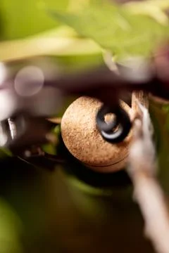Wine Bottle closeup Stock Photos