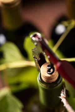 Wine Bottle closeup Stock Photos