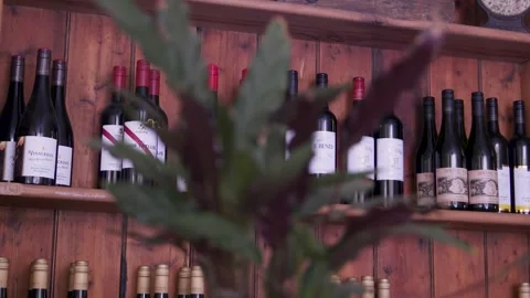 Wine Bottle Shelves With Soft Focus Plant In Front Inside Pub Stock Footage 340594856