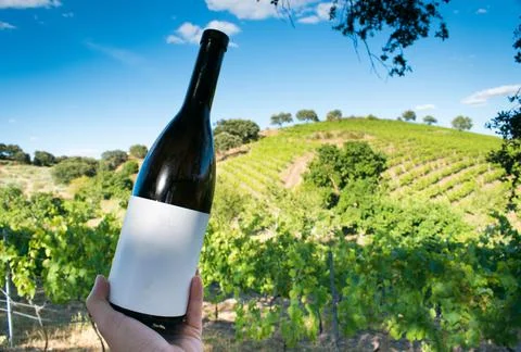 Wine bottle with a vineyard in the background Stock Photos