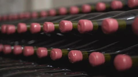 Wine Bottles in the Cellar Video stock 105877092