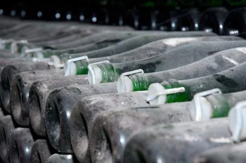Wine bottles in a cellar Stock Photos