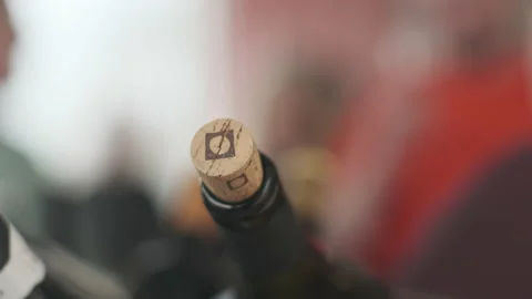 Wine bottles Stock Footage 233223011