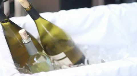 Wine bottles on ice place one in ice Vidéo 17823960