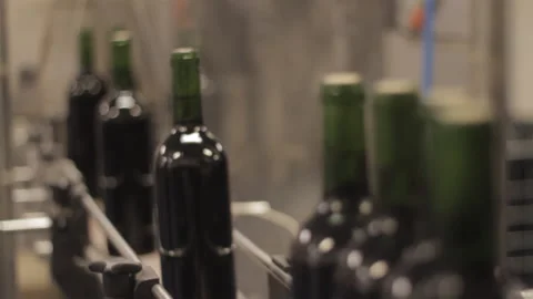 Wine bottles moving on bottling machine Stock Footage 142736768