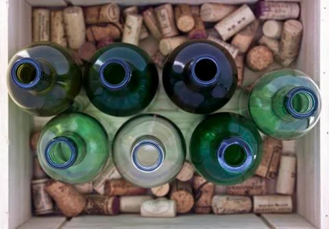 Wine bottles Stock Photos