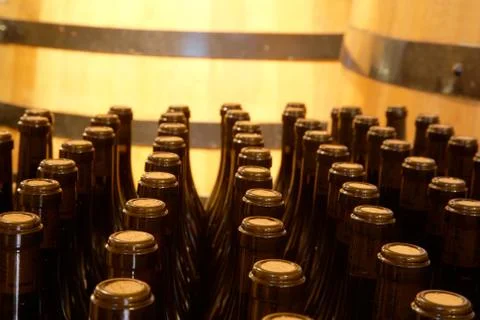 Wine bottles Foto stock