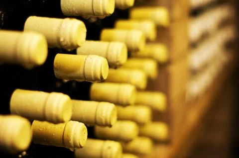 Wine bottles Stock Photos