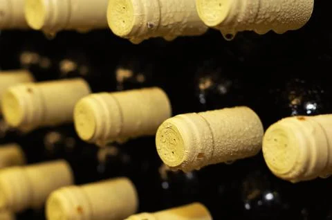 Wine bottles Stock Photos