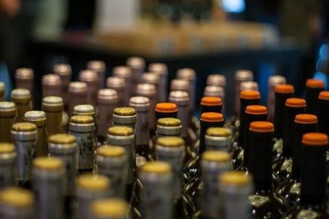 Wine bottles Stock Photos