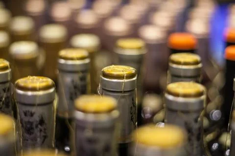 Wine bottles Stock Photos