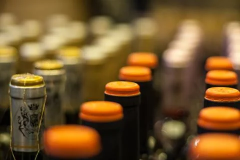 Wine bottles Stock Photos