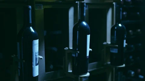 Wine bottles in a rack Video stock 74512212
