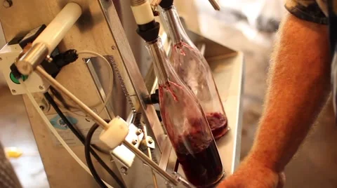 Wine Bottling 2 스톡 동영상 50621152