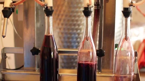 Wine Bottling 3 스톡 동영상 50621145