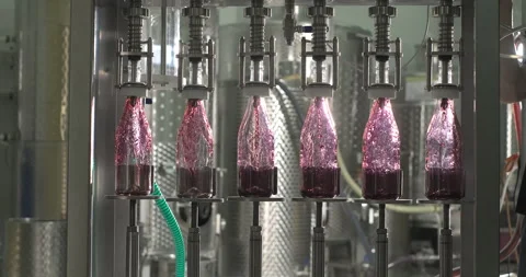 Wine bottling process. Filling red wine by the machine into bottles. Bottling Stock Footage 251332144