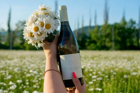 Wine in camomiles Stock Photos