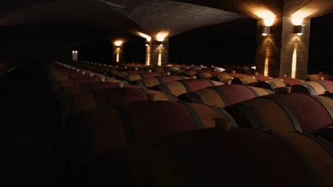 Wine Caskets In Cellar Stock Footage 86705151