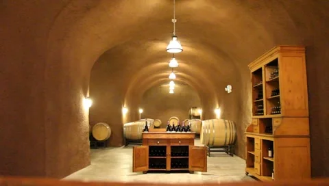 Wine Cave 5459 Video stock 1808336