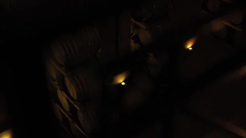 Wine cellar of barrels Stock Footage 242622103