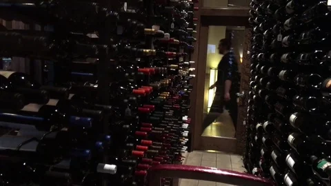 Wine Cellar with Bottles Chilling Stock Footage 82214249