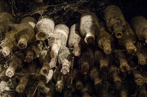 A wine cellar with bottles Stock Photos